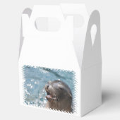 Sea Lion Geschenkschachtel (Geöffnet)