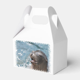 Sea Lion Geschenkschachtel