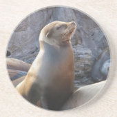 Sea Lion Getränkeuntersetzer (Vorne)