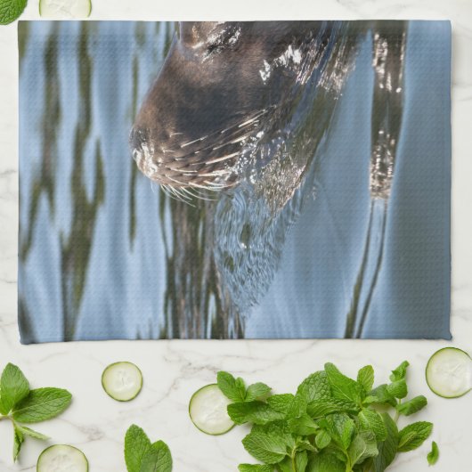 Sea Lion Handtuch (Gefaltet)
