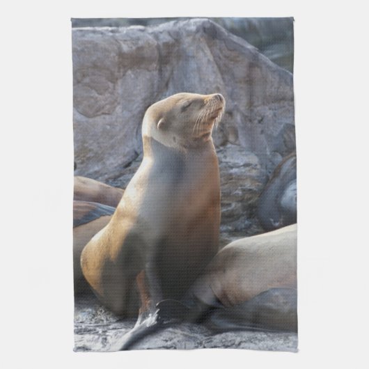 Sea Lion Küchentuch (Vertikal)