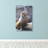 Sea Lion Leinwanddruck (Insitu (Holzboden))