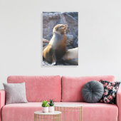 Sea Lion Leinwanddruck (Insitu (Wohnzimmer))
