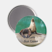 Sea Lion Magnet (Vorderseite/Rückseite)