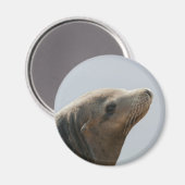 Sea Lion Magnet (Vorderseite/Rückseite)