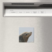 Sea Lion Magnet (In Situ (Geschirrspüler))