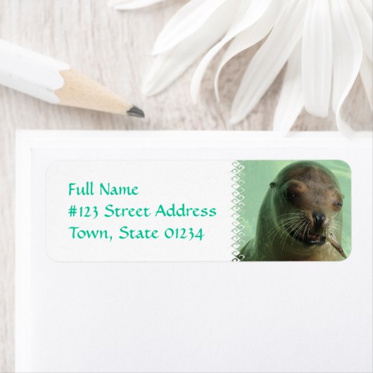Sea Lion mit Rücksendeadresse (Insitu)