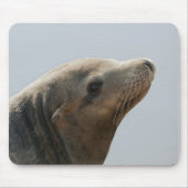 Sea Lion Mousepad (Vorne)
