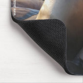 Sea Lion Mousepad (Ecke)