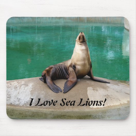 Sea Lion Mousepad (Vorne)