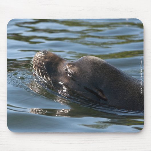 Sea Lion Mousepad (Vorne)