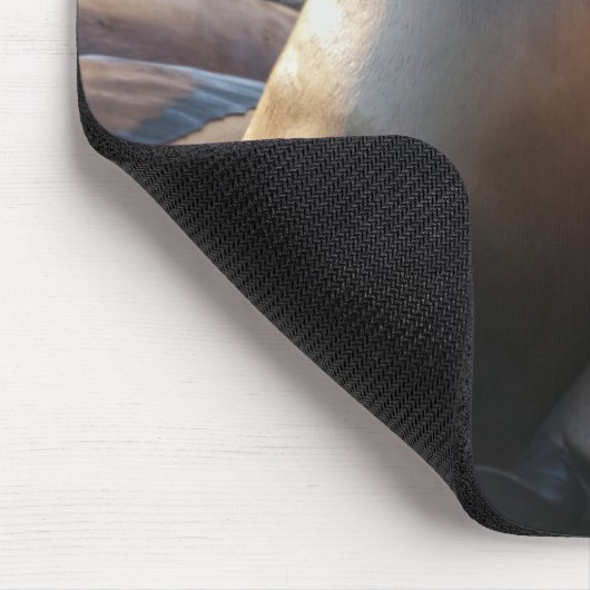 Sea Lion Mousepad (Ecke)