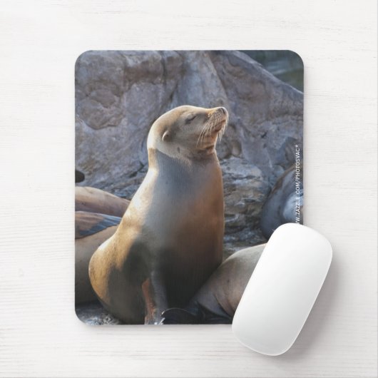 Sea Lion Mousepad (Mit Mouse)