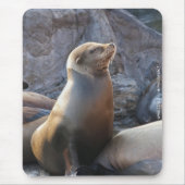 Sea Lion Mousepad (Vorne)