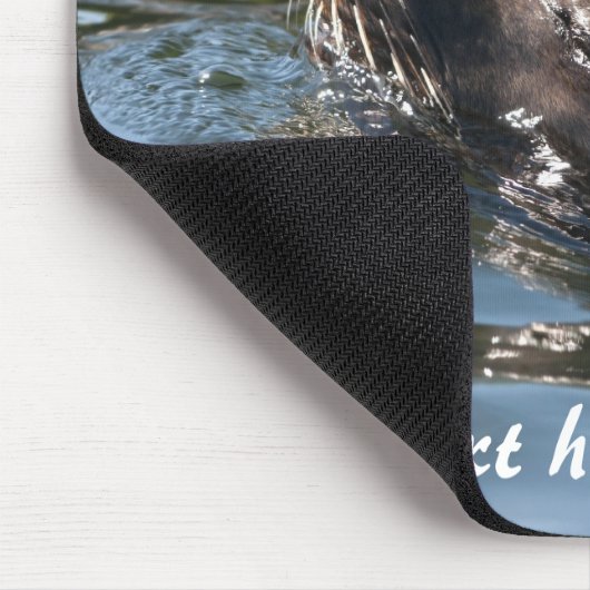 Sea Lion Mousepad (Ecke)