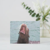 Sea Lion Mouth Open Postcard Postkarte (Stehend Vorderseite)