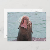 Sea Lion Mouth Open Postcard Postkarte (Vorne/Hinten)