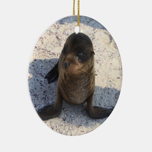 Sea Lion Ornament (Rechts)