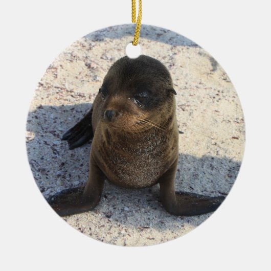 Sea Lion Ornament (Vorne)