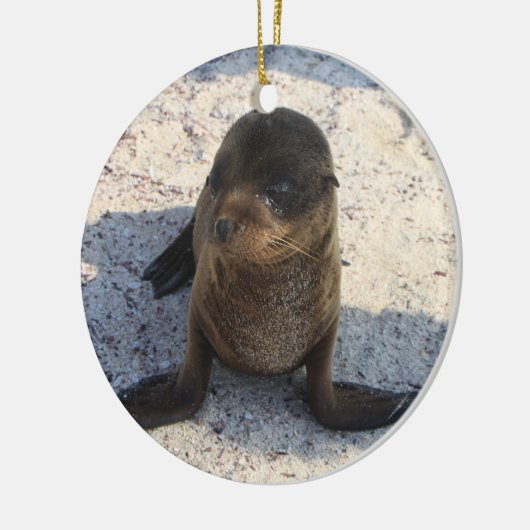 Sea Lion Ornament (Links)
