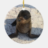 Sea Lion Ornament (Hinten)