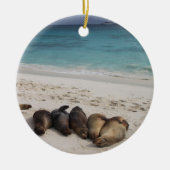 Sea Lion Ornament (Vorne)