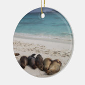 Sea Lion Ornament (Links)