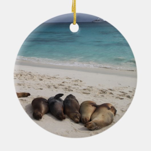 Sea Lion Ornament (Hinten)