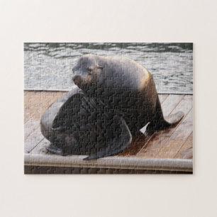 Sea Lion, Pier 39, Puzzle San Francisco