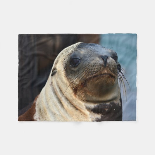 Sea Lion Portrait Fleecedecke (Vorderseite (Horizontal))