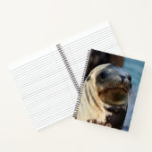 Sea Lion Portrait Notizblock (Innenseite)