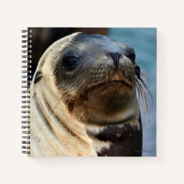 Sea Lion Portrait Notizblock