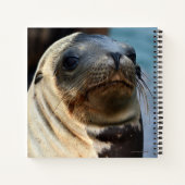 Sea Lion Portrait Notizblock (Rückseite)