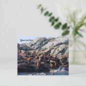 Sea Lion Postcard Postkarte (Stehend Vorderseite)