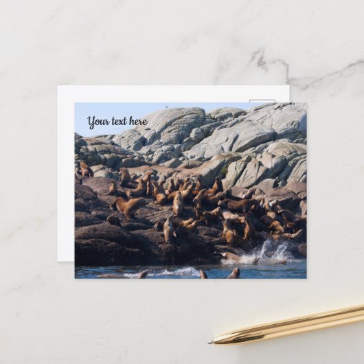 Sea Lion Postcard Postkarte (Vorderseite/Rückseite Beispiel)