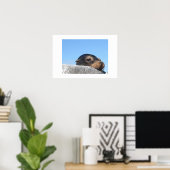 Sea Lion Poster (Heimbüro)