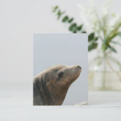 Sea Lion Postkarte (Stehend Vorderseite)