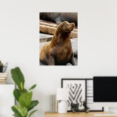 Sea Lion Print Poster (Heimbüro)