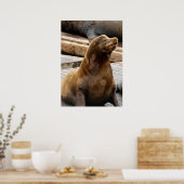 Sea Lion Print Poster (Küche)