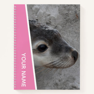 Sea Lion Pup Baby Face Schließen Australien, Pink Notizblock