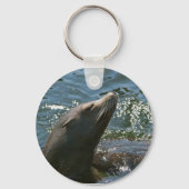 Sea Lion Schlüsselanhänger (Vorderseite)