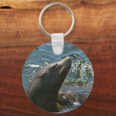 Sea Lion Schlüsselanhänger (Vorderseite)