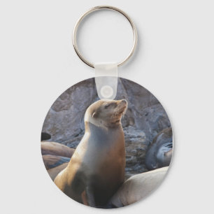Sea Lion Schlüsselanhänger