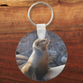 Sea Lion Schlüsselanhänger (Vorderseite)