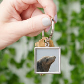 Sea Lion Schlüsselanhänger (Hand)