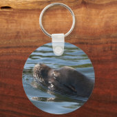 Sea Lion Schlüsselanhänger (Vorderseite)
