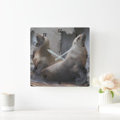 Sea Lion Square Clock Quadratische Wanduhr (Zuhause)