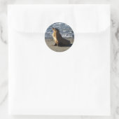 Sea Lion Sticker (Tasche)