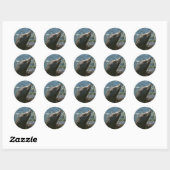 Sea Lion Stickers (Blatt)