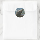 Sea Lion Stickers (Tasche)